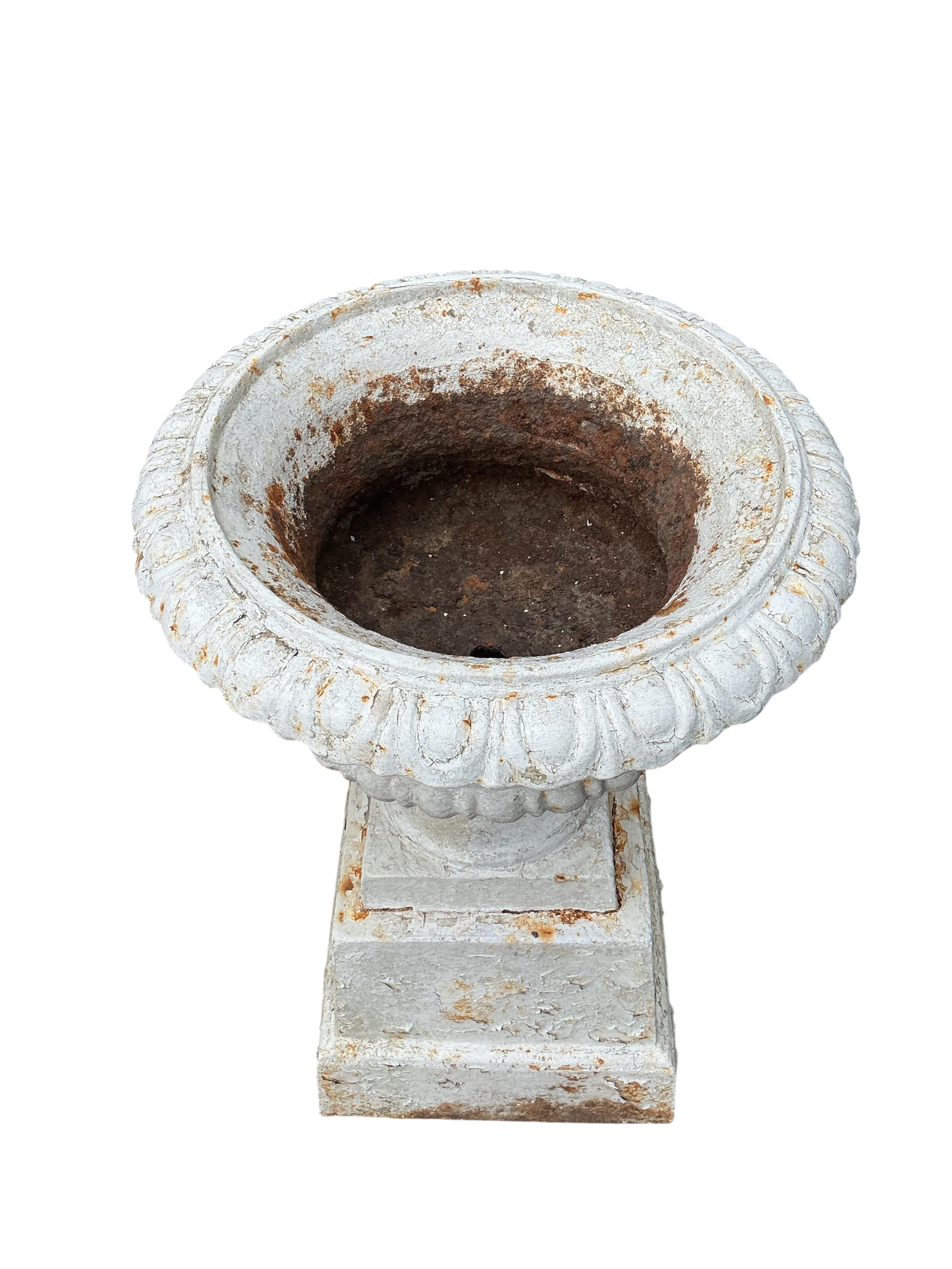 A pair of Victorian painted cast iron campana urns on square bases, diameter 48cm, height 80cm